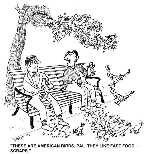 'These are American birds, pal. They like fast food scraps.'