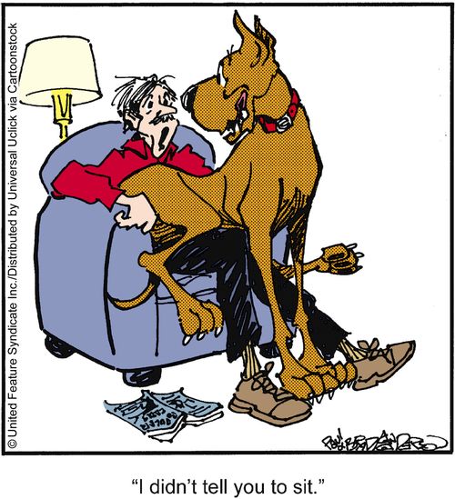 'I didn't tell you to sit.'