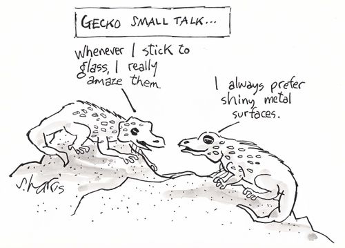 Gecko small talk: 'Whenever I stick to glass, I really amaze them.' 