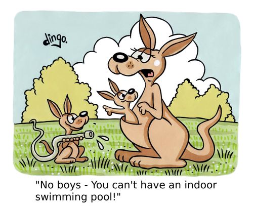 'No boys - You can't have an indoor swimming pool!'
