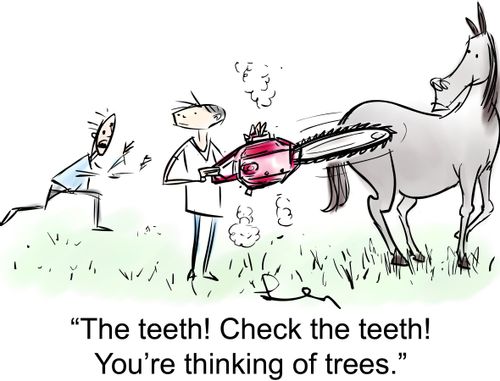 'The teeth! Check the teeth! You're thinking of trees.'