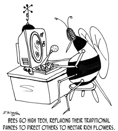 Bees go high tech, replacing their traditional dances to direct others to nectar rich flowers.