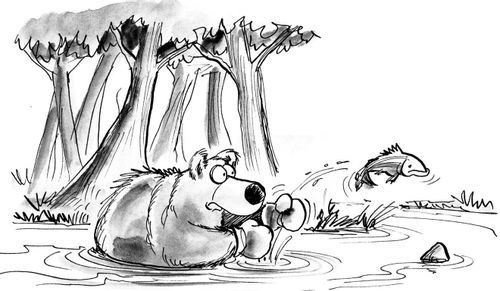 Bear fumbling whilst fishing.