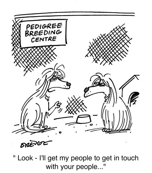 'Look - I'll get my people to get in touch with your people...'