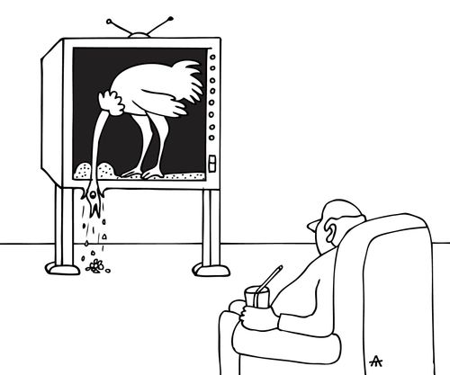 A ostrich leans out of the tv to pick up bird food.