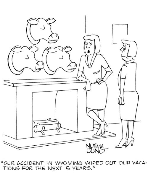 'Our accident in Wyoming wiped out our vacations for the next 5 years.'