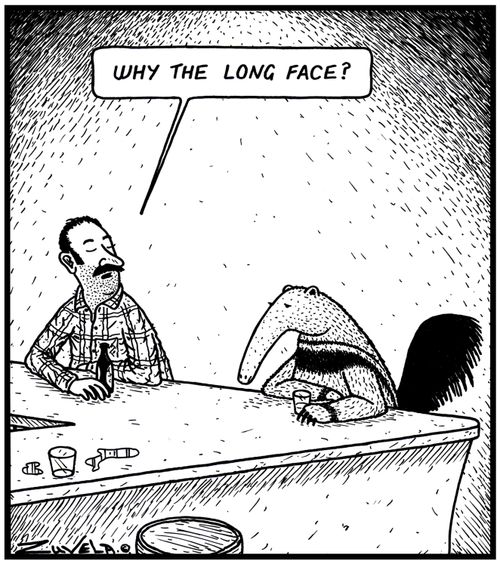 'Why the long face?'