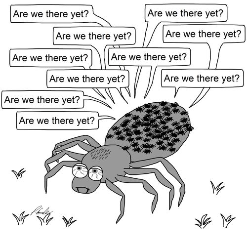 'Are we there yet?'