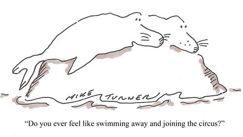 'Do you ever feel like swimming away and joining the circus?'