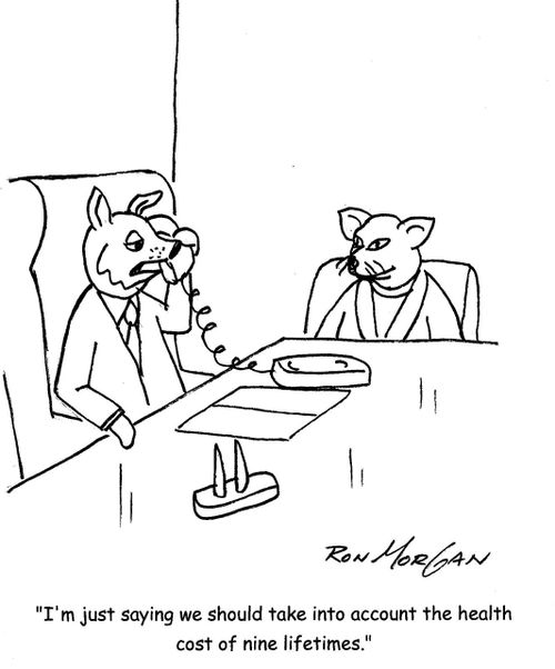 'I'm just saying we should take into account the health cost of nine lifetimes.'