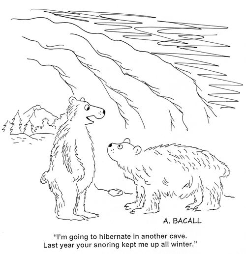 'I'm going to hibernate in another cave. Last year your snoring kept me up all winter.'