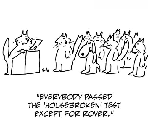'Everybody passed the 'housebroken' test except for Rover.'