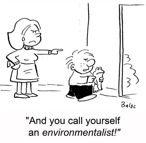 'And you call yourself an environmentalist!'