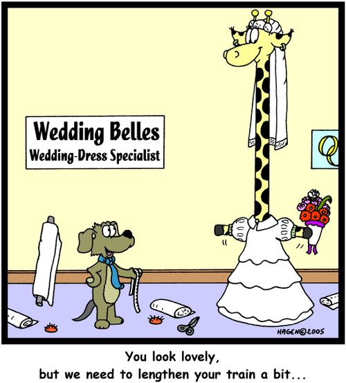 'You look lovely, but we need to lengthen your train a bit...'