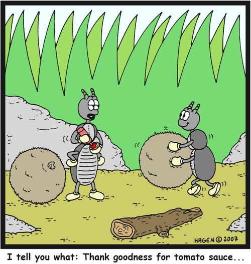 'I tell you what: Thank goodness for tomato sauce...'