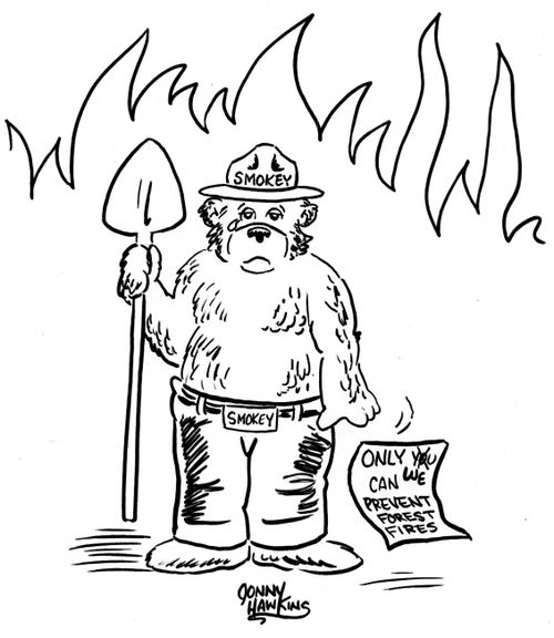 Smokey Bear crying because of deliberately started forest fires