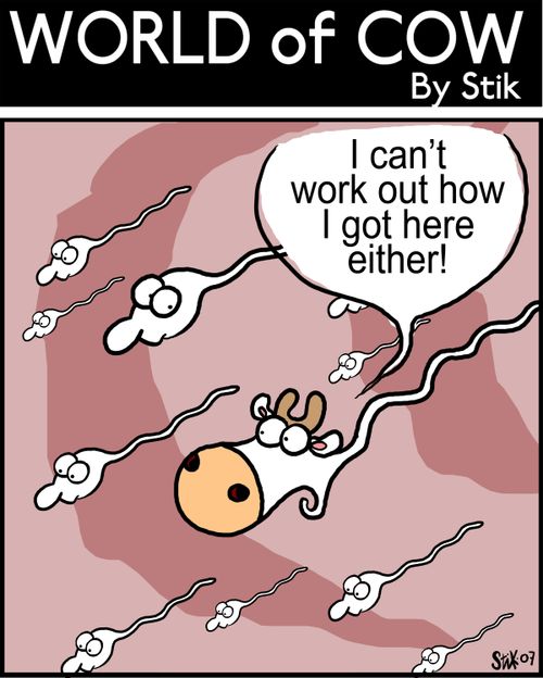 I can't work out how I got here either!