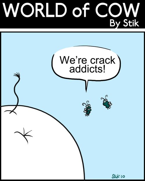 We're crack addicts!