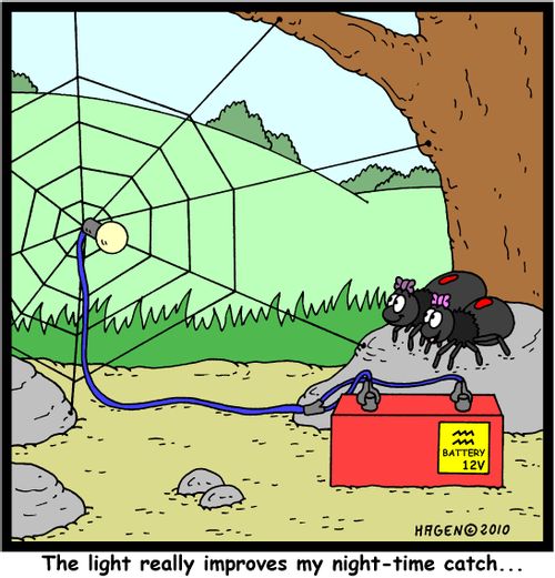 'The light really improves my night-time catch...'