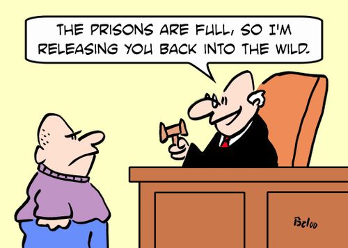 'The prisons are full, so I'm releasing you back into the wild.'