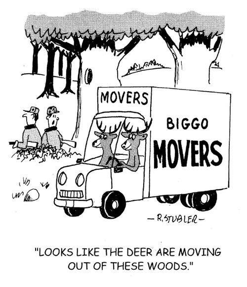 'Looks like the deer are moving out of these woods.'