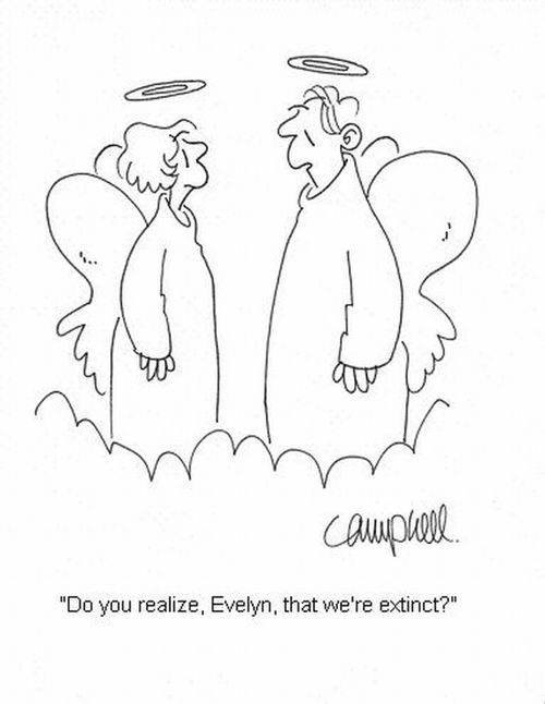 'Do you realize, Evelyn, that we're extinct?'
