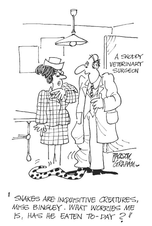 'Snakes are inquisitive creatures ,Miss Bingley.What worries me is ,has he eaten to-day ?'