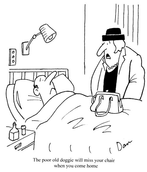 "The poor old doggie will miss your chair when you come home."