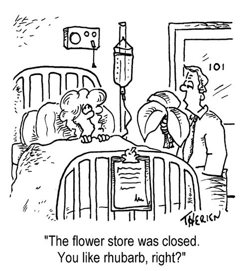 "The flower store was closed. You like rhubarb, right?"