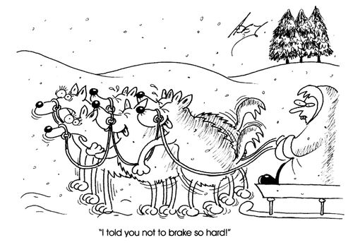 "I told you not to break so hard."