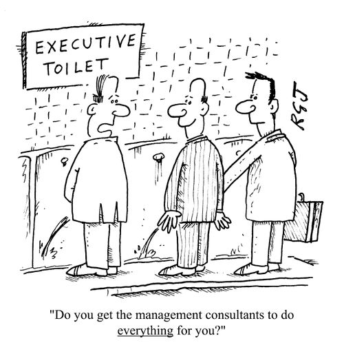 "Do you let the management consultants do everything for you?"