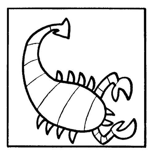 Scorpio/scorpion