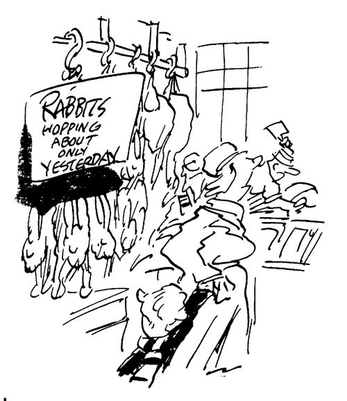 Rabbits in the Butchers'
