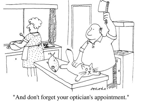 "And don't forget your Optician's appointment."