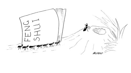 Ants carrying book on Feng Shui.