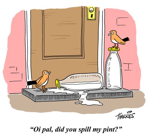 'Oi pal, did you spill my pint?'