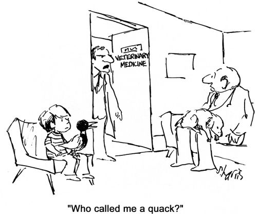 'Who called me a quack?' (boy has duck on his knee in vet's surgery).