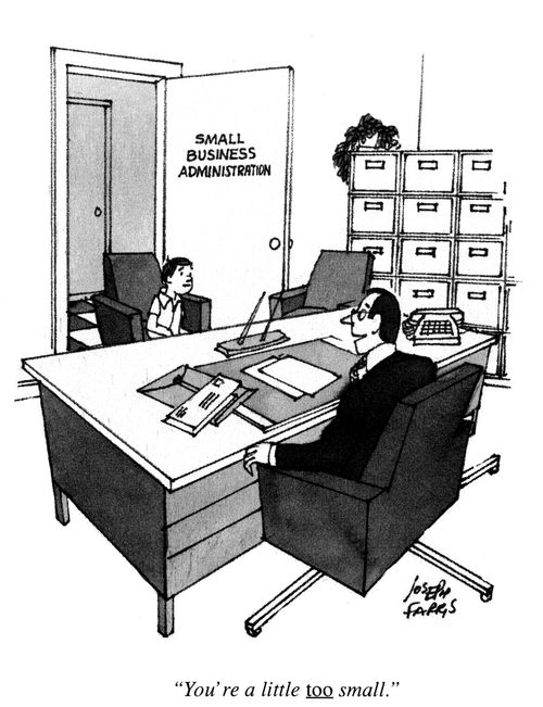 Small business administration - 'You're a little too small.'