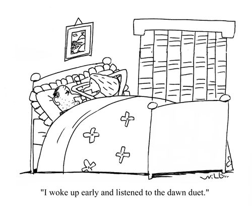 'I woke up early and listened to the dawn duet.'