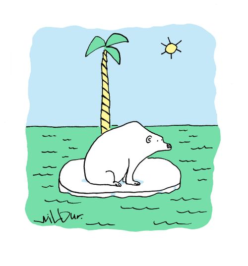 Polar Bear.