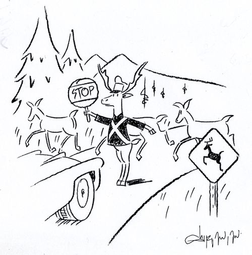 A Deer Traffic Warden.