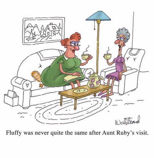 Fluffy was never quite the same after Aunt Ruby's visit.