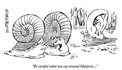'Be careful what you say around Marjorie...'