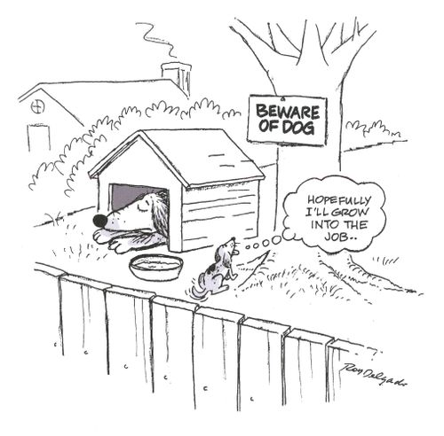 Beware the Dog: 'Hopefully I'll grow into the job...'