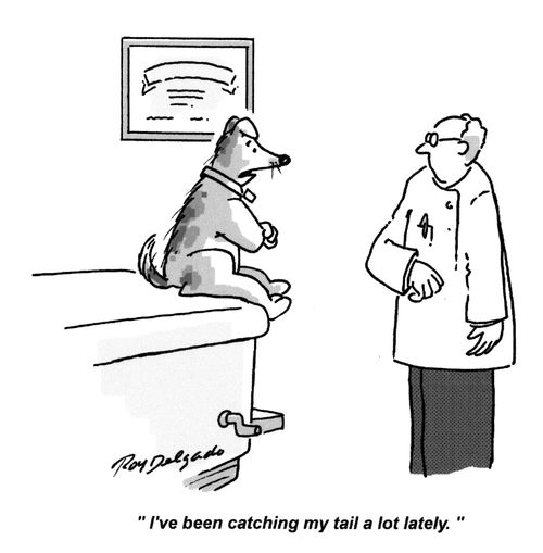 'I've been catching my tail a lot lately.'