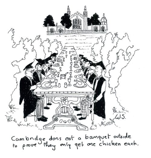 Cambridge dons eat a banquet outside to prove they only get one chicken each.