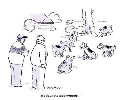 'He found a dog whistle.'