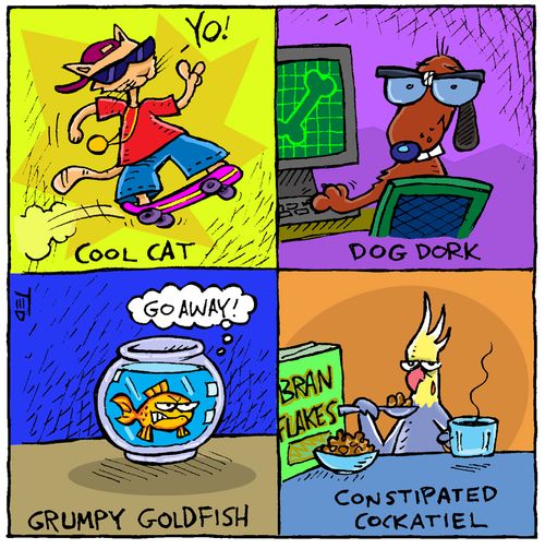 Cool Cat, Dog Dork, Grumpy Goldfish, Constipated Cockatiel.