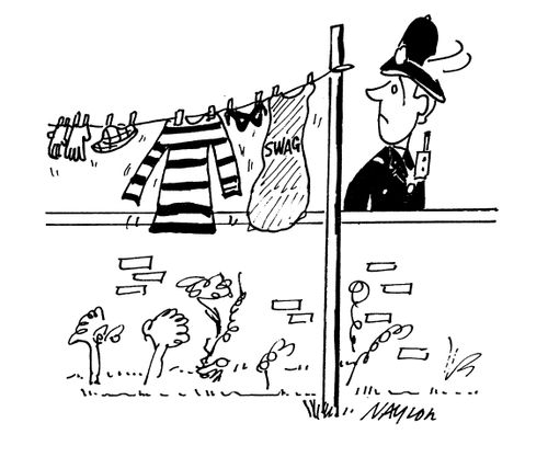 Washing line with robber outfit and swag bag hanging up to dry.