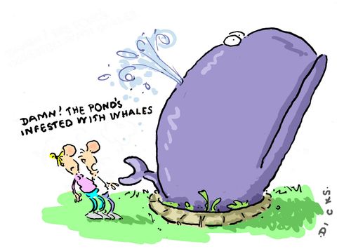 'Damn! The ponds infested with whales.'